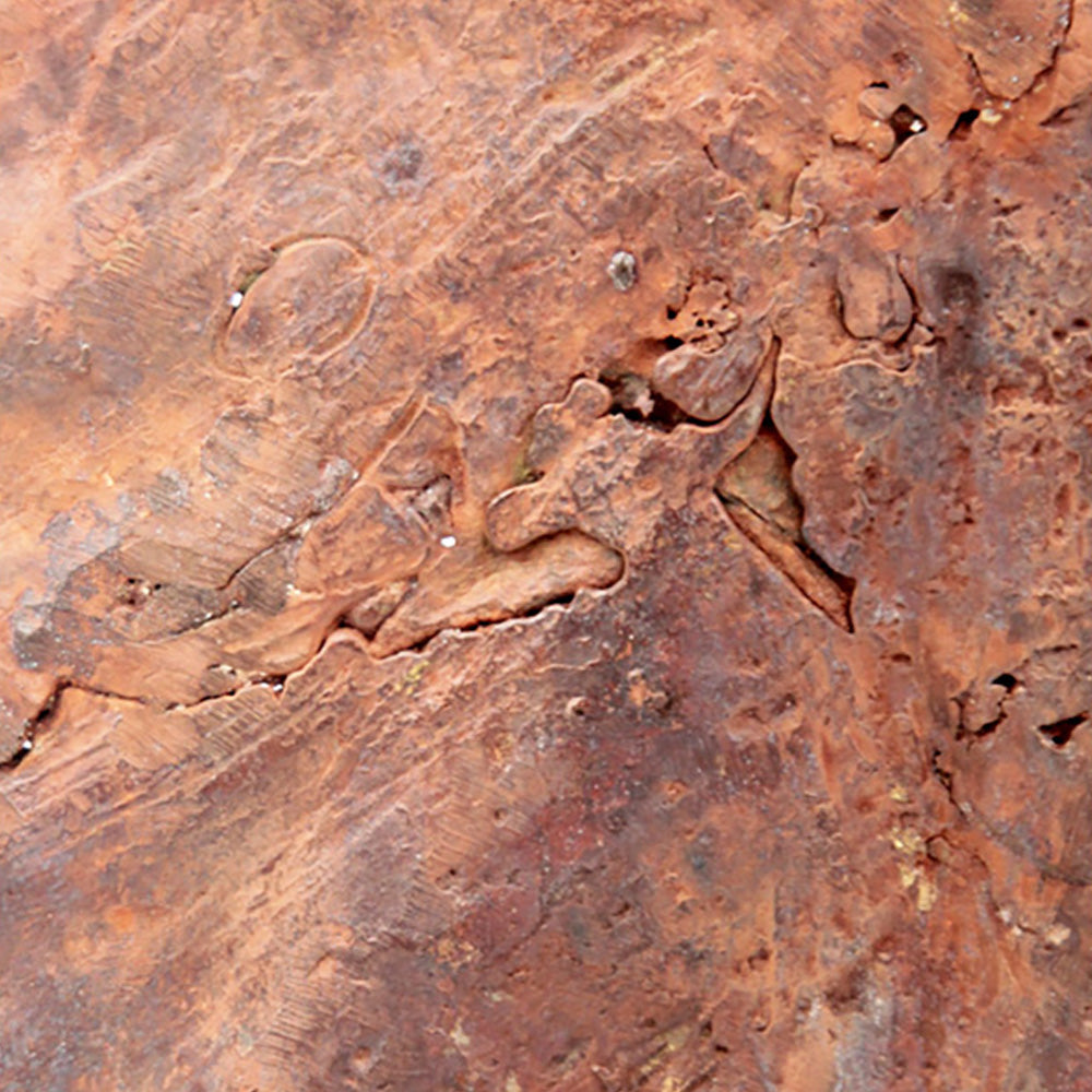 Bronze Feuille simple 45 cm marron n°4 Bronzes d'Afrique