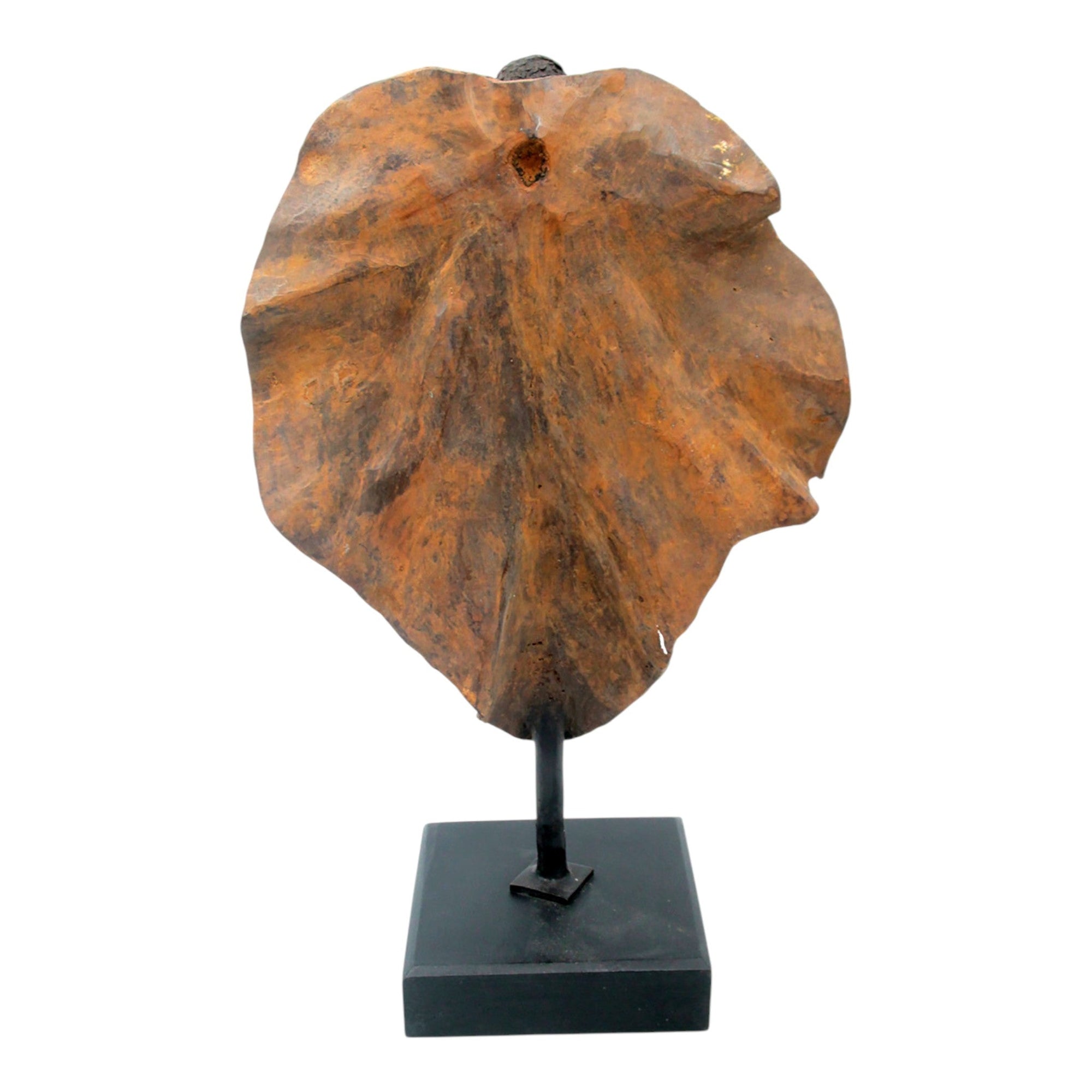 Bronze Feuille simple 45 cm marron n°3 Bronzes d'Afrique