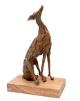 Bronze lévrier 35 cm marron n°1 Bronzes d'Afrique