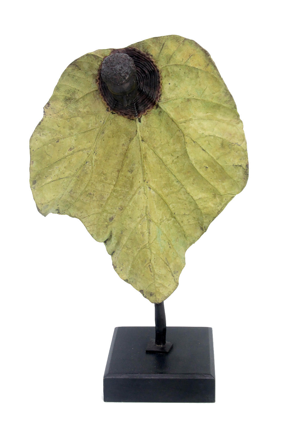 Bronze Feuille simple 45 cm vert n°3 Bronzes d'Afrique
