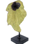 Bronze Feuille simple 45 cm vert n°3 Bronzes d'Afrique