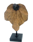 Bronze Feuille simple 45 cm vert n°3 Bronzes d'Afrique