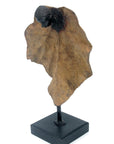 Bronze Feuille simple 45 cm vert n°3 Bronzes d'Afrique