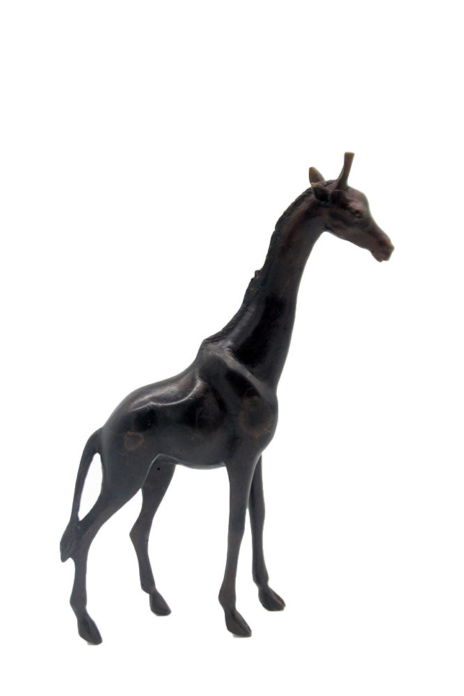 GIRP01 Bronzes d'Afrique