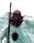 Bronze Feuille simple 45 cm vert n°1 Bronzes d'Afrique