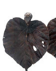 Bronze Feuille triple 45 cm marron n°3 Bronzes d'Afrique