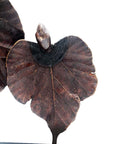 Bronze Feuille triple 45 cm marron n°3 Bronzes d'Afrique
