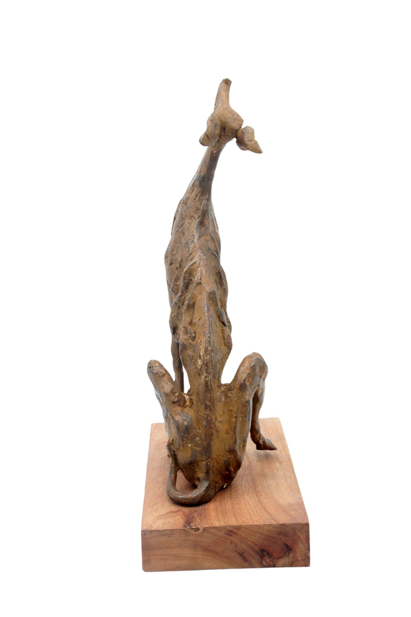 Bronze lévrier 35 cm marron n°1 Bronzes d&#39;Afrique