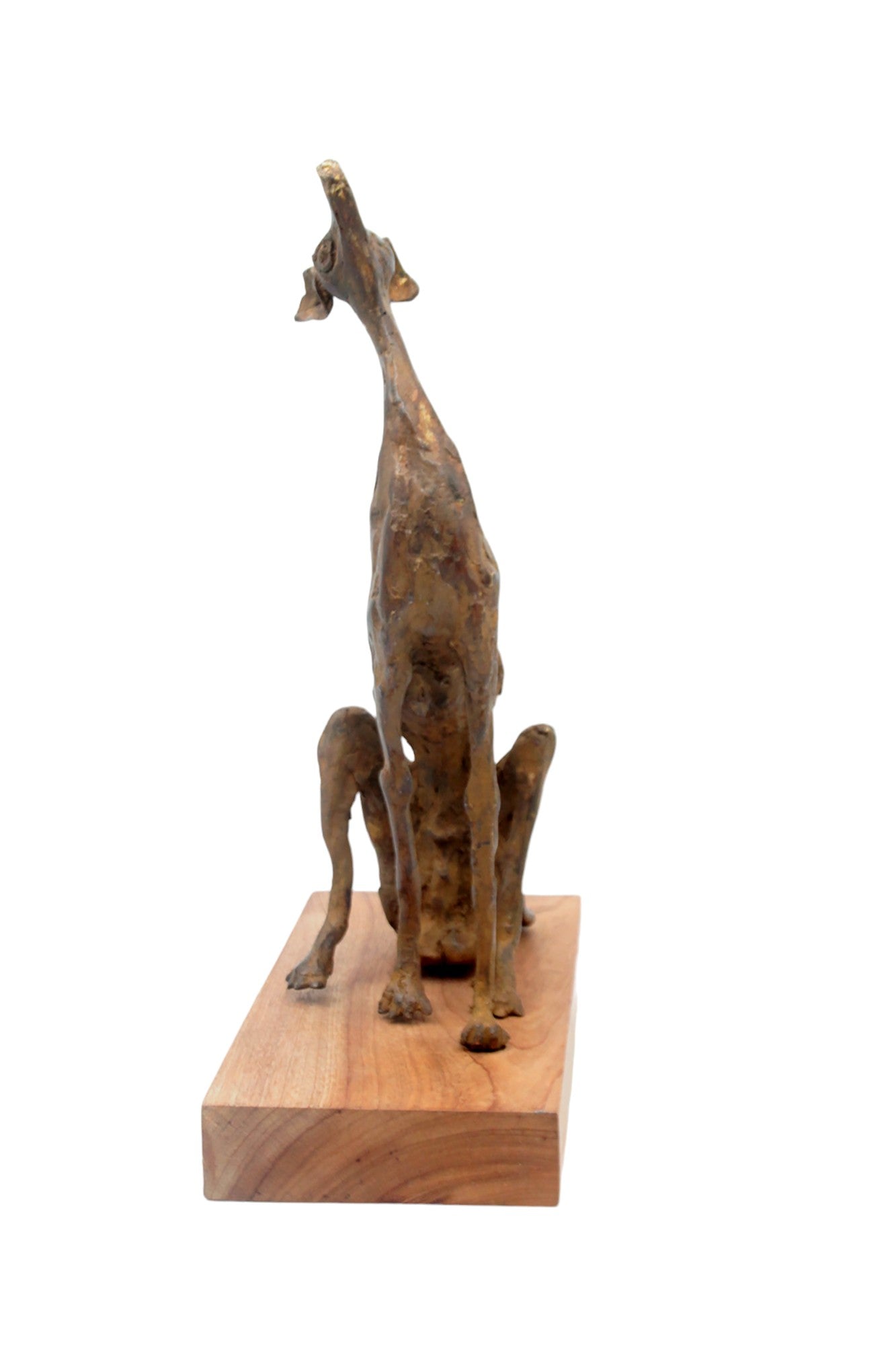 Bronze lévrier 35 cm marron n°1 Bronzes d&#39;Afrique