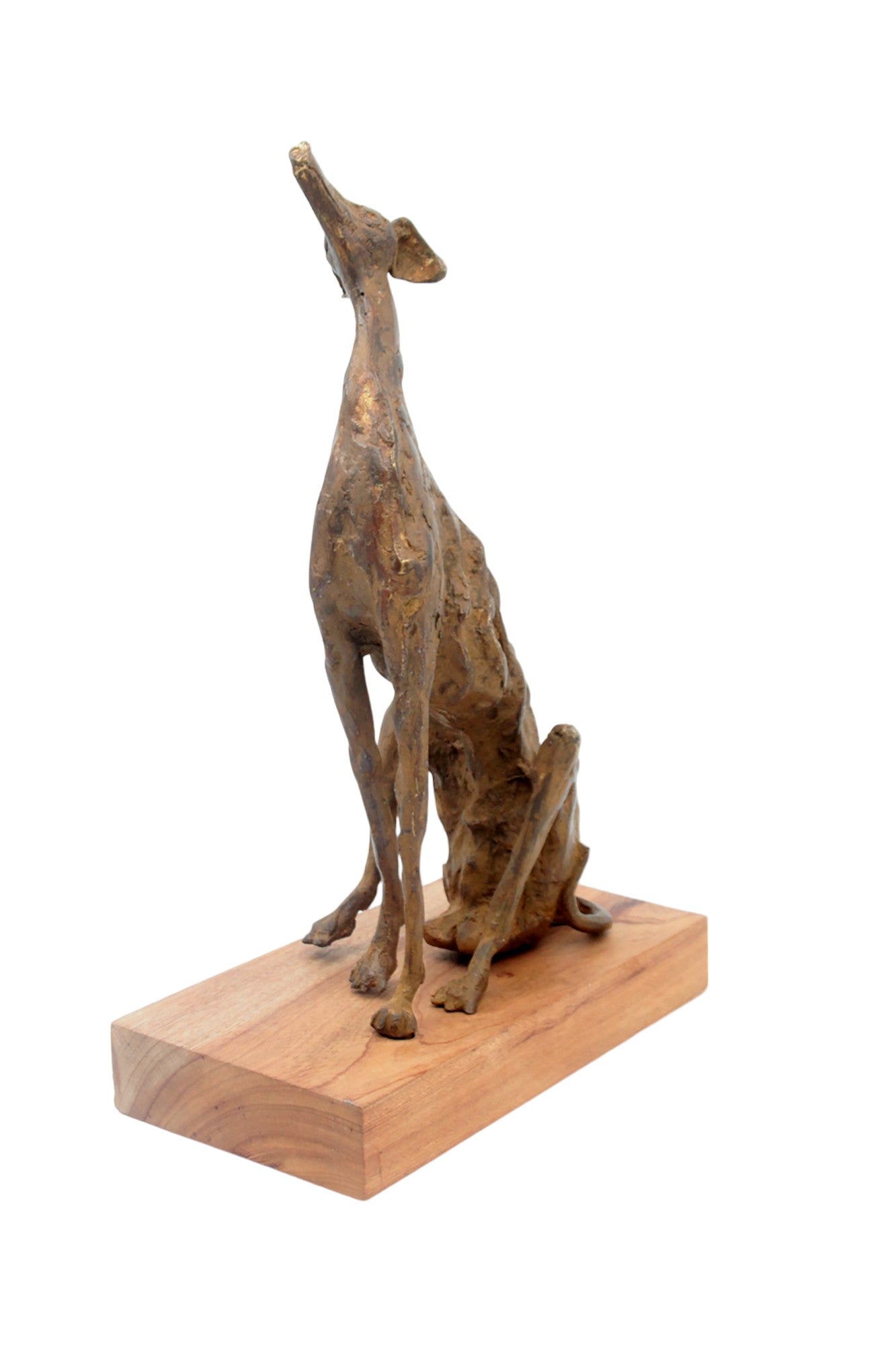 Bronze lévrier 35 cm marron n°1 Bronzes d&#39;Afrique
