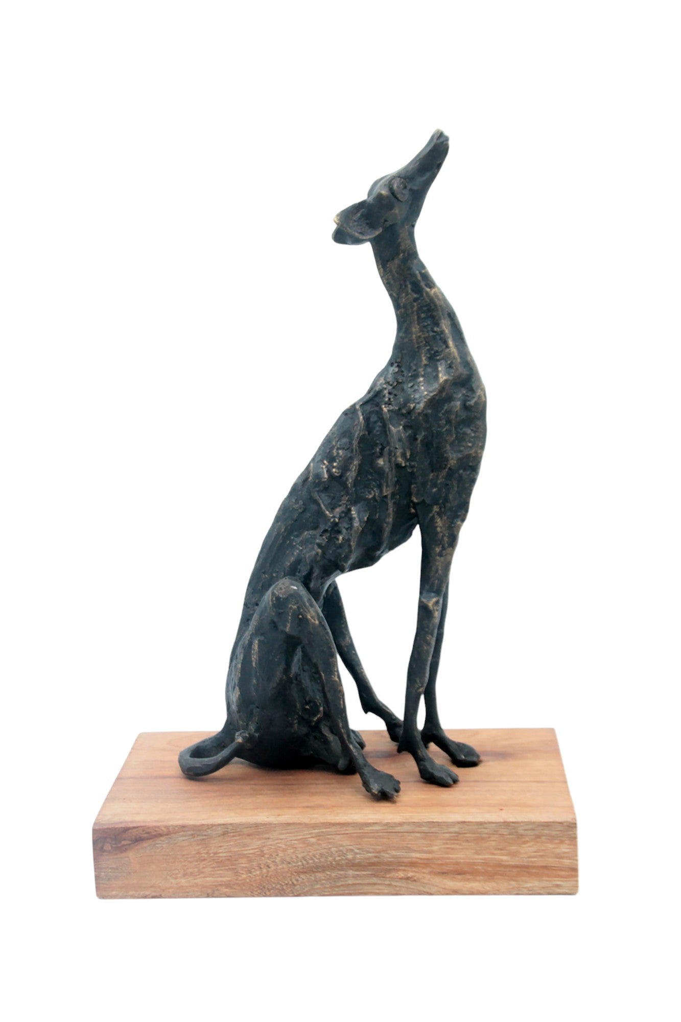 Bronze lévrier 35 cm marron n°2 Bronzes d&#39;Afrique