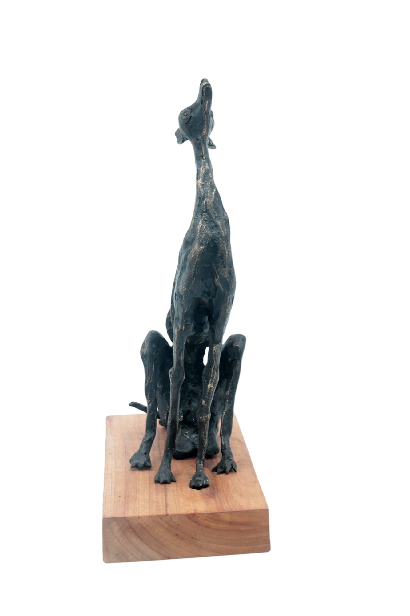 Bronze lévrier 35 cm marron n°2 Bronzes d&#39;Afrique